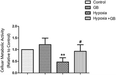 Ginkgolide B Maintains Calcium Homeostasis in Hypoxic Hippocampal Neurons by Inhibiting Calcium Influx and Intracellular Calcium Release